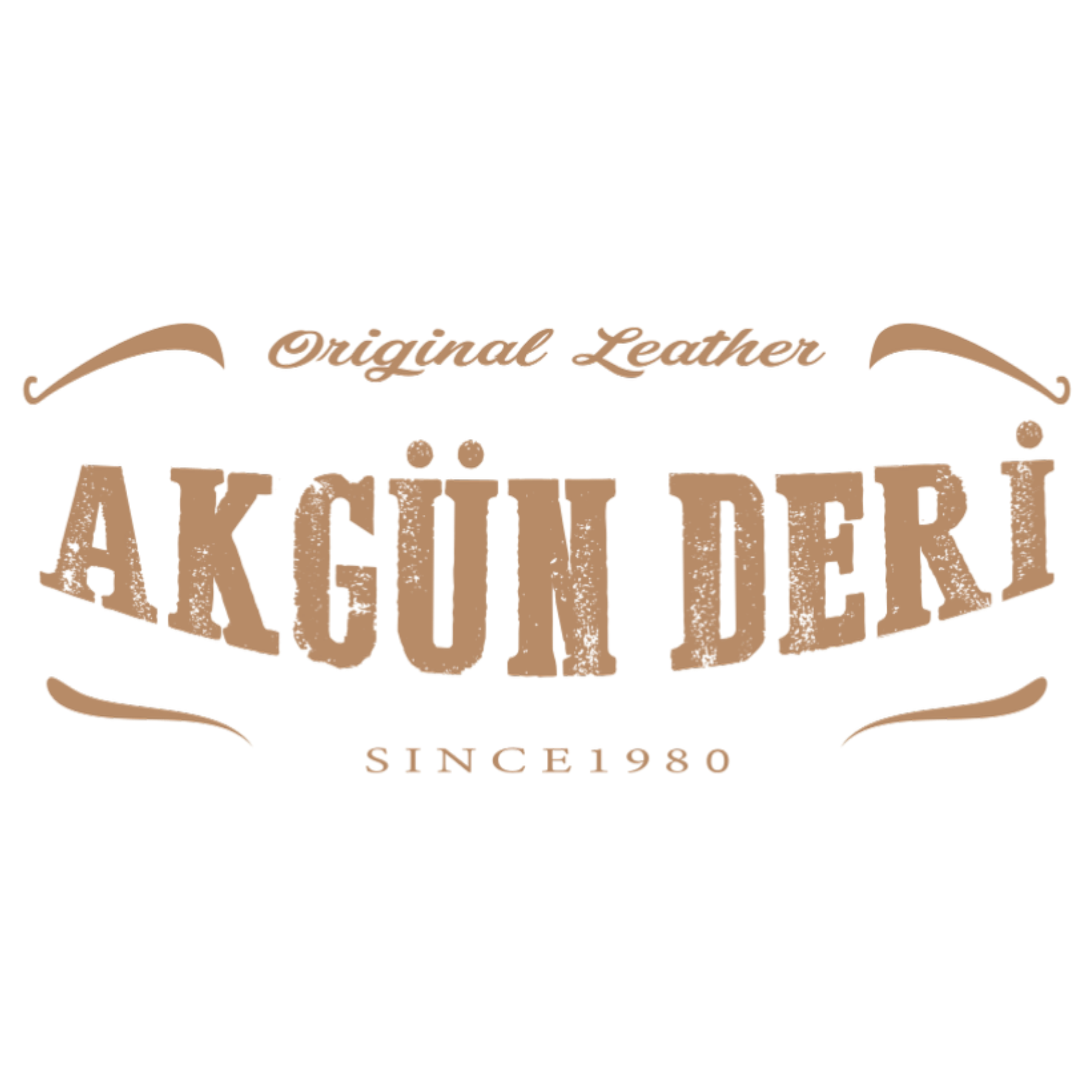 akgunlogo